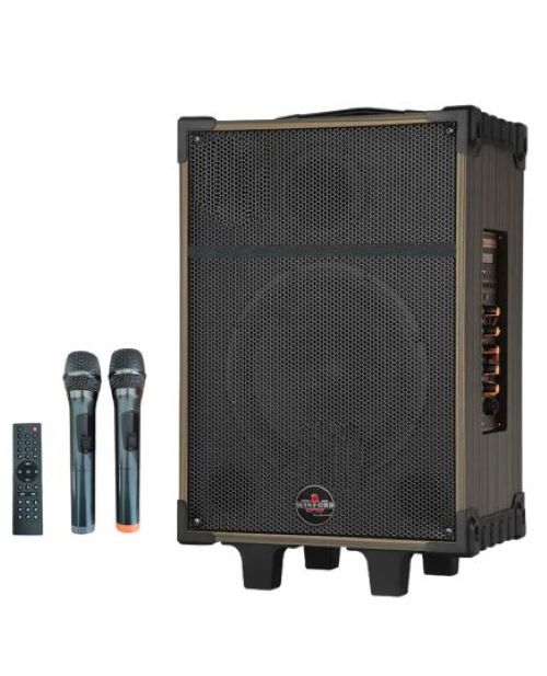 10", 80W, trolley speaker, bluetooth, SD, USB, 2 wifi microphone, D-10